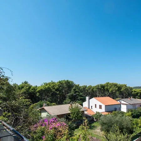 Villa Valkane Pet Friendly 150M From The Stunning Valkane Beach, City Indoor Pools-Fitness And City Mall Pula Exterior photo