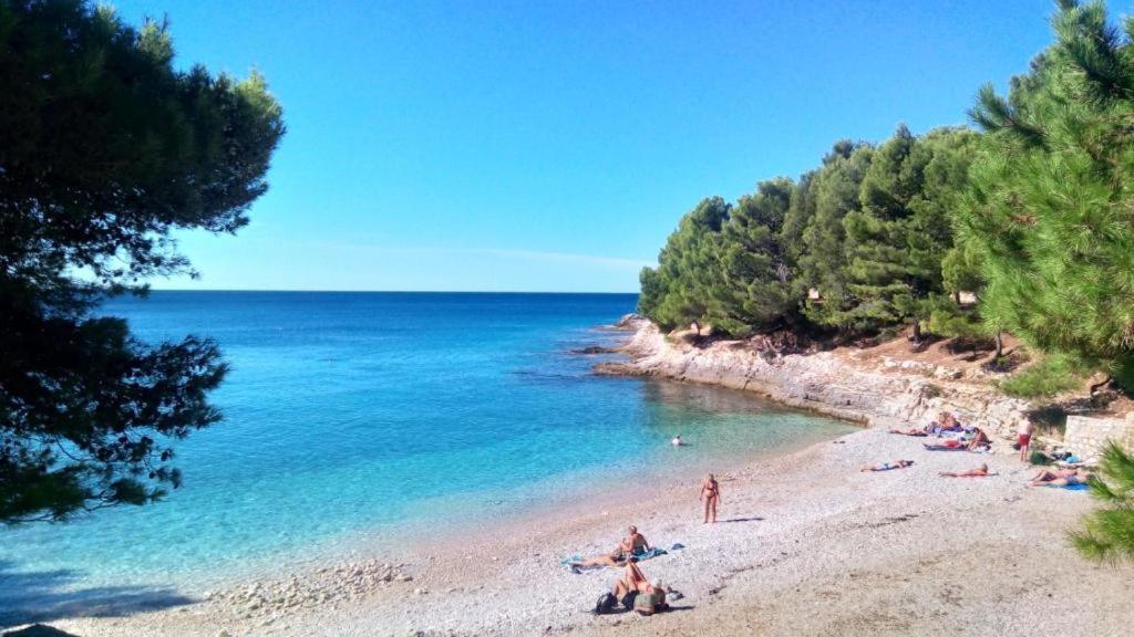 Valkane Pet Friendly 150m From The Stunning Valkane Beach, Indoor Pools-fitness And Mall Pula
