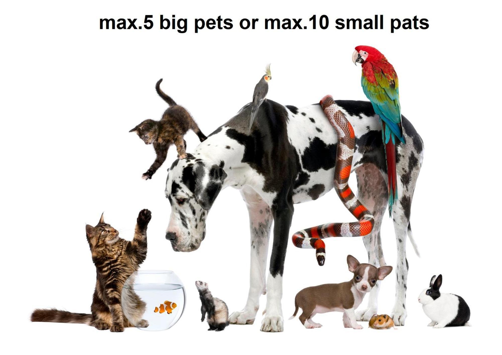 Valkane Pet Friendly 150m From The Stunning Valkane Beach, Indoor Pools-fitness And Mall *